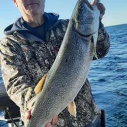 Lake Trout's fishing conquest of Lake Ontario.