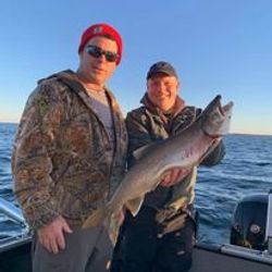 Trout's journey in Lake Ontario.