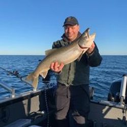 Trout's expedition in Lake Ontario.