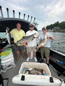 Three Chinook Salmon fish caught during fishing outing in New York