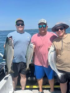 Three Chinook Salmon fish caught while fishing in NY
