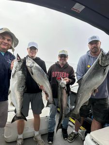 Three chinook and coho salmon caught in Sackets Harbor