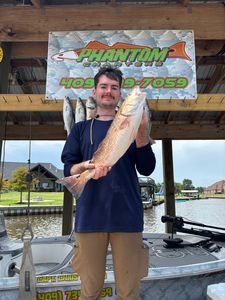 Two 20-inch fish caught from Bridge City