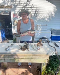 Top choice of every experienced Anglers out here
