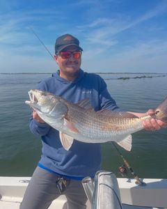Redfish are never out of season in GA.