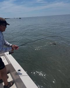 Angler fishing in St. Marys