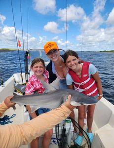 Bonnethead Shark, 32 inch big fish caught while fishing in St. Marys