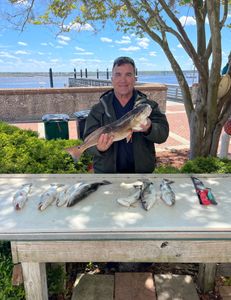 Two fish caught while fishing in GA