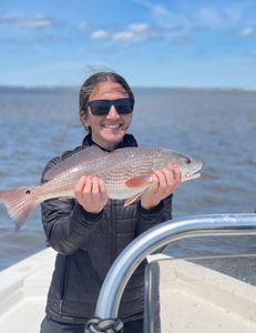 Redfish catch in GA