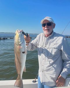 Redfish caught in GA