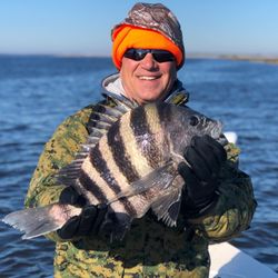 Sheepshead fish caught while fishing in St. Marys