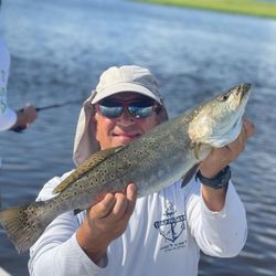 Spotted weakfish caught fishing in GA