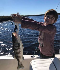 Striped Bass caught in St. Marys while fishing
