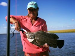 Tripletail fish caught in St. Marys