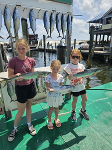 5 little tunny fish caught fishing in FL