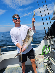 Trolling the deep blue in Destin - perfect weather for the ultimate catch!