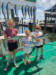 Five little tunny fish caught while fishing in Destin