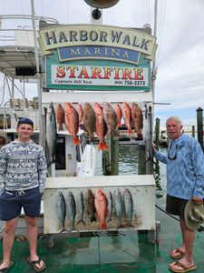 Seven king mackerel fish caught while fishing in FL