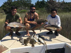 4 fish caught in NC