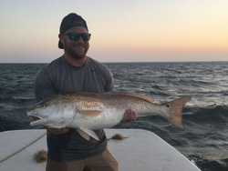 Angler with a 29-inch catch in Morehead City