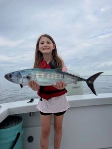 Atlantic bonito caught fishing in Morehead City NC displayed on boat deck