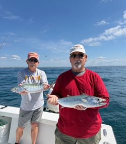 Two Atlantic bonito caught during fishing trip in Morehead City NC