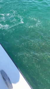 Mastering the art of fishing with diverse techniques in Morehead City!