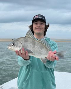 A skilled angler with a beautiful black drum fish catch in North Carolina