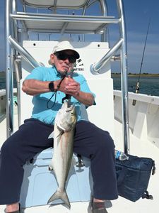 Angler holding caught bluefish on fishing boat in Morehead City NC waters