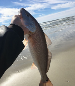 Fishing in North Carolina