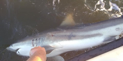 A fishing trip in NC