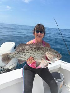 Gag grouper catch on fishing boat in Morehead City NC waters