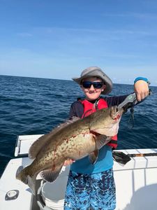 Gag grouper caught while fishing in Morehead City NC waters