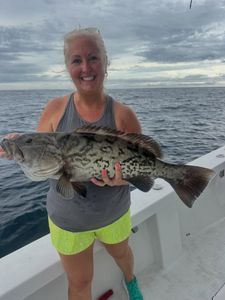 Gag grouper caught fishing in Morehead City NC