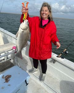 Angler fishing in NC