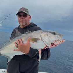 Greater amberjack caught while fishing in Morehead City NC