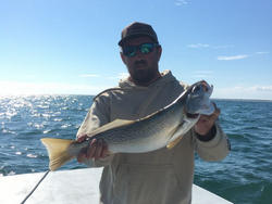 A single, big fish caught in Morehead City during a fishing trip