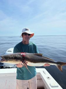 Cobia catch on fishing boat in Morehead City NC waters