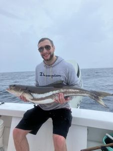 Cobia catch displayed on fishing boat in Morehead City NC waters