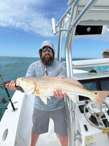 Large redfish caught on fishing boat in Morehead City NC waters