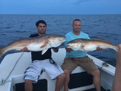 Two large redfish caught in Morehead City