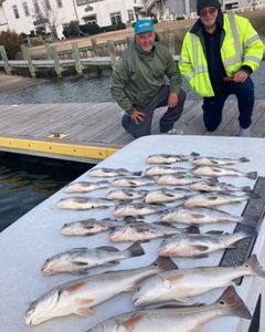 5 redfish caught while fishing in NC