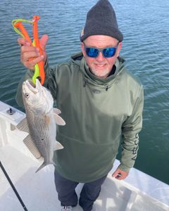 Redfish caught in Morehead City