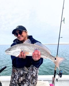 Photograph of a redfish caught while fishing in Morehead City