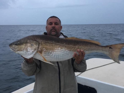 Redfish caught by angler in North Carolina