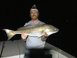Redfish caught in Morehead City