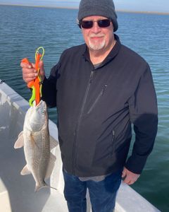 Redfish caught in NC