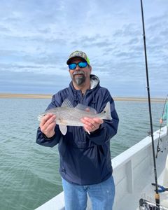 Redfish caught while fishing in NC
