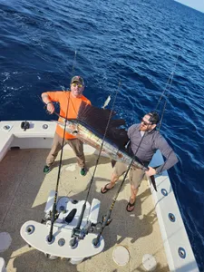 An Atlantic Sailfish caught in Islamorada