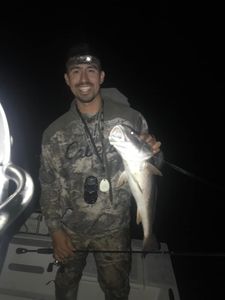 Join us for a night fishing for Redfish in Texas 